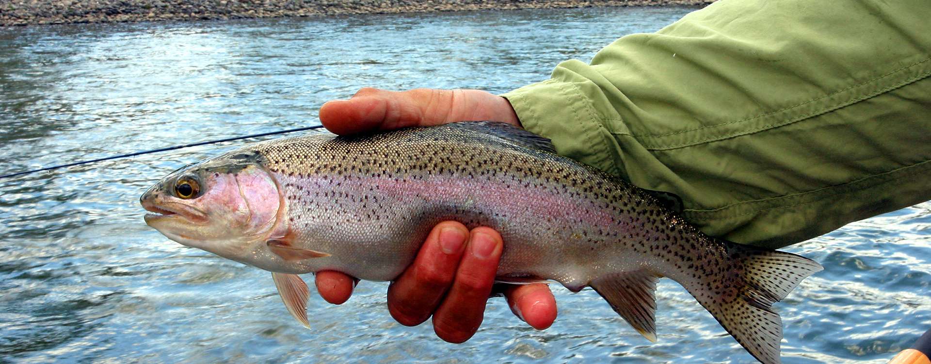 Fly Fishing Fly Fishing