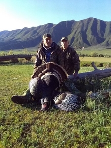 turkey-hunts